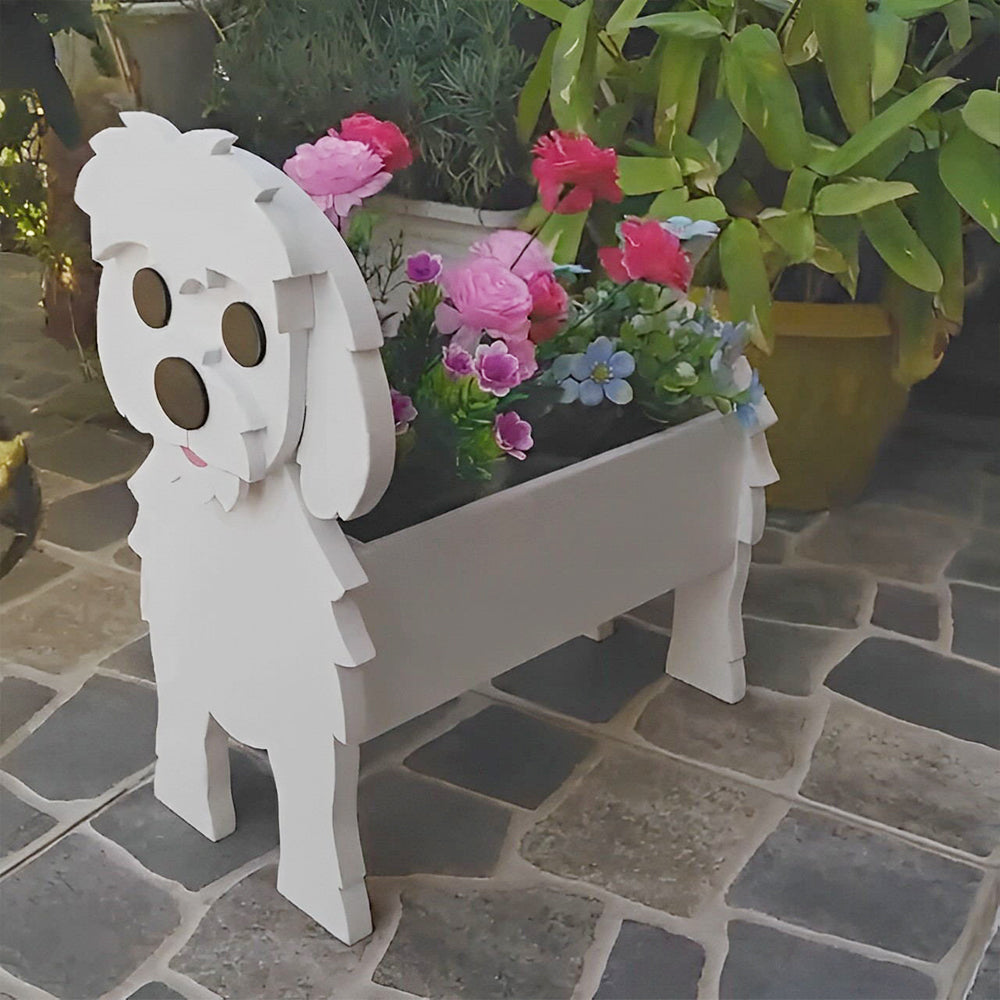Maltezer hond Plantenbak