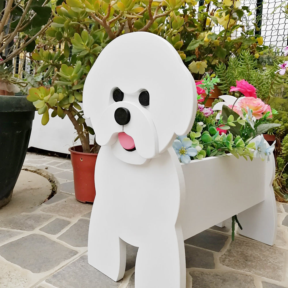 Bichon Frisé Plantenbak