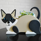 Siamese kat Plantenbak