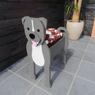 Staffordshire Bull Terrier Plantenbak